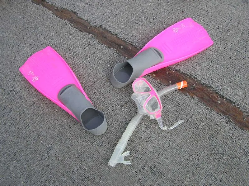 Snorkel gear packed and ready for a Key Largo snorkeling tour