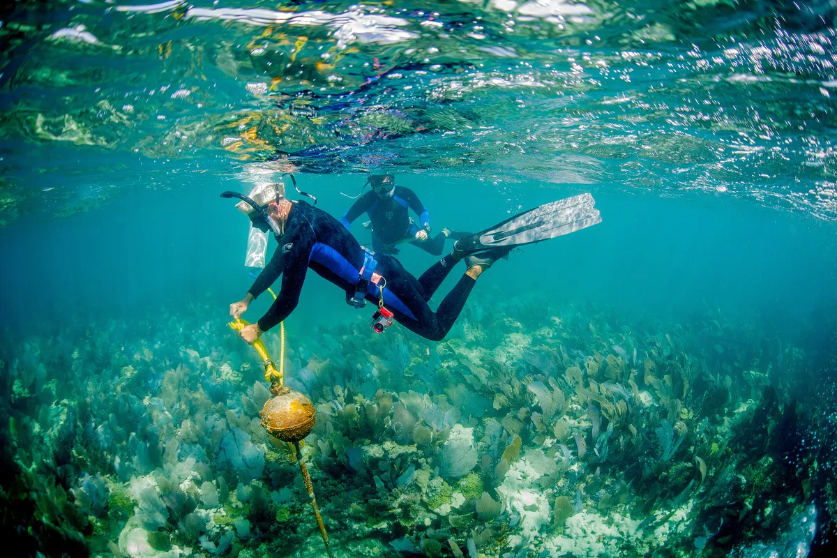 Boats moored at yellow buoys over a Florida Keys reef line in calm water